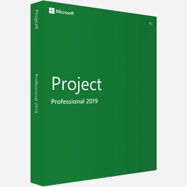 Microsoft Project Professional 2019 - Full Version - Digital Maze
