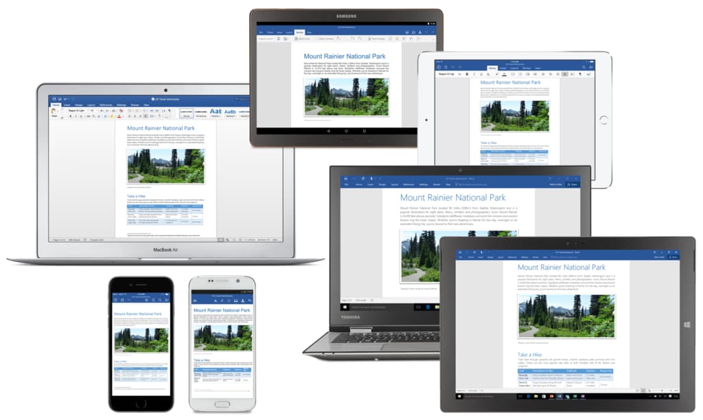 Microsoft Office 365 Business with Installation Media - 1 Year Subscription - Digital Maze