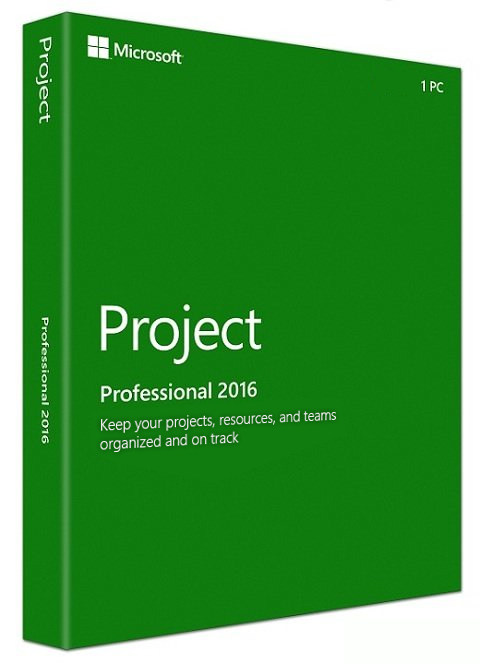Microsoft Project Professional 2016 - Full Version - Digital Maze